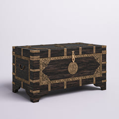 Storage Trunk Coffee Table in Brown and Gold Solid Wood with Brass Detailing