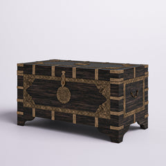 Storage Trunk Coffee Table in Brown and Gold Solid Wood with Brass Detailing