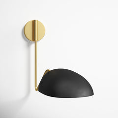 Swing Arm Lamp, 1-Light Steel with Adjustable Metal Shade