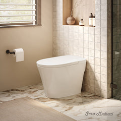 Tankless Toilet, Hugo H, Elongated Comfort Height in Glossy White