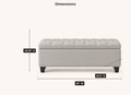 Dimensions | drawn overall callouts for 18.25 inches high, 50 inches wide, and 20.5 inches deep over the studio front