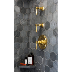 Thermostatic Shower Trim, Country, 3/4 Inch Without Volume Control in Unlacquered Brass