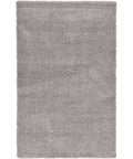 Full rug | the whole shag rug flat on a plain backdrop, no furniture