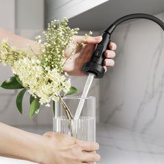 Touchless Kitchen Faucet, Bolden, Single Handle, Pull Down, Matte Black