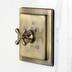 Tub and Shower Faucet, Tulare, Single Handle in Antique Brass