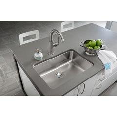 Undermount Kitchen Sink, Lustertone, Single Bowl, Stainless Steel, Lustrous Satin