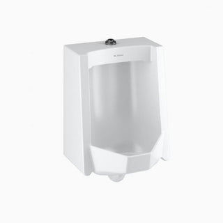 Urinal Fixture, Ceramic, NPS / IPS Inlet, White