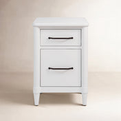 Vertical File Cabinet with 2 Drawers and Metal File Rod