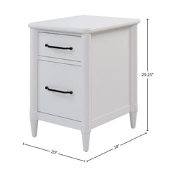 Vertical File Cabinet with 2 Drawers and Metal File Rod