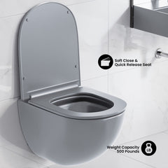 Wall-Hung Toilet, St. Tropez, Round Bowl Only in Matte Gray