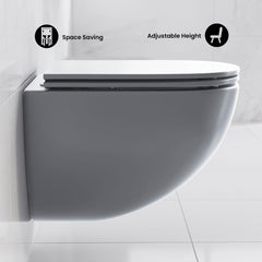 Wall-Hung Toilet, St. Tropez, Round Bowl Only in Matte Gray