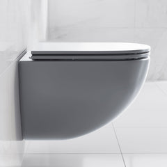 Wall-Hung Toilet, St. Tropez, Round Bowl Only in Matte Gray