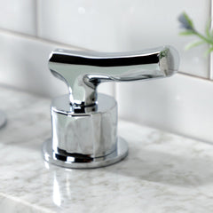 Widespread Bathroom Faucet, Hallerbos, Two-Handle with Pop-Up Drain in Polished Chrome