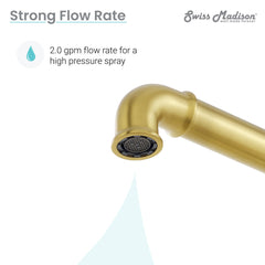 Widespread Kitchen Faucet, Avallon Pro, with Side Sprayer in Brushed Gold