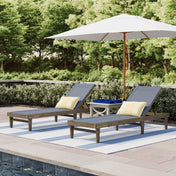 Wulfern Anokoufonisi Mesh Chaise Lounge Set