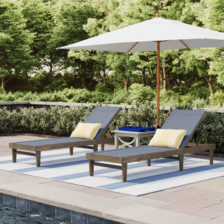 Wulfern Anokoufonisi Mesh Chaise Lounge Set