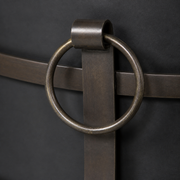 Ring latch detail | Circular dark bronze ring latch and steel strap