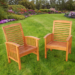 Room | The Wulfern Gramvoussa Acacia Dining Chairs, Set of 2 in a styled room