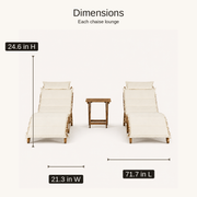 Dimensions | dimensions diagram for each chaise lounge: 24.6 in H, 21.3 in W, and 71.7 in L