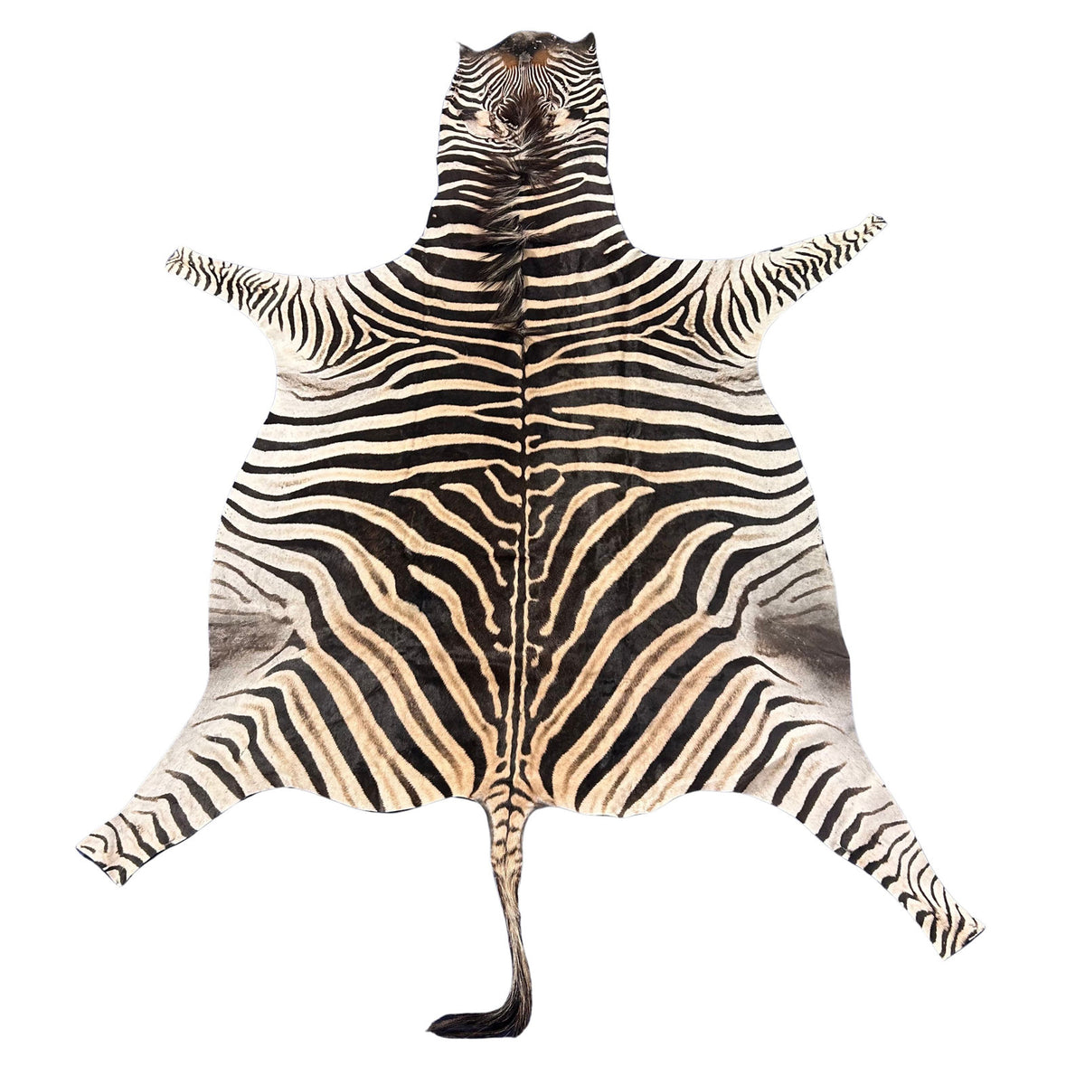 Zebra Print Leather Rug, 7 x 7 ft in Beige and Black